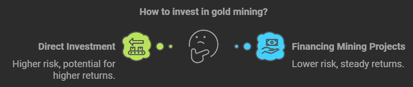 Infographic titled 'The Smart Money: Streaming and Royalty Companies,' featuring Franco-Nevada as a finance-focused alternative to traditional gold mining investments.