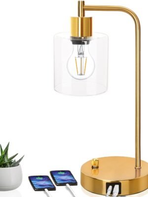 Gold industrial table lamp featuring a clear glass shade, modern design, and two USB ports for convenient device charging, paired with a sleek gold base